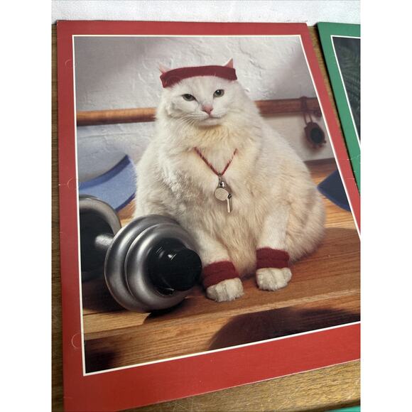 Vintage Stuart Hall Folder Lot Cats in School Unpunched Excellent Cond 1993 NOS - Picture 7 of 16